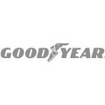 Good Year Logo