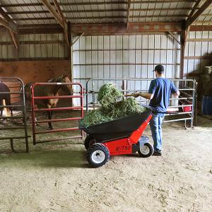 Feeding Horses Hay